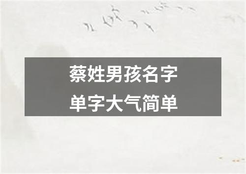 蔡姓男孩名字单字大气简单