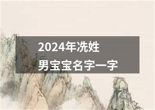 2024年冼姓男宝宝名字一字