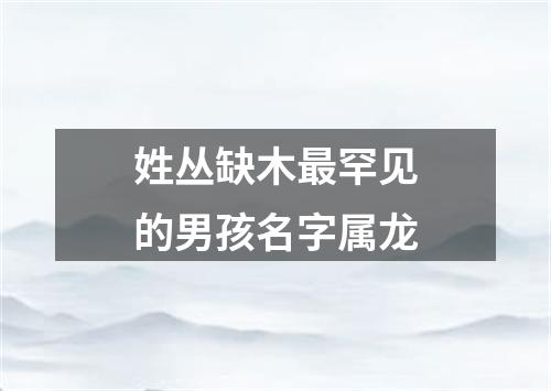 姓丛缺木最罕见的男孩名字属龙