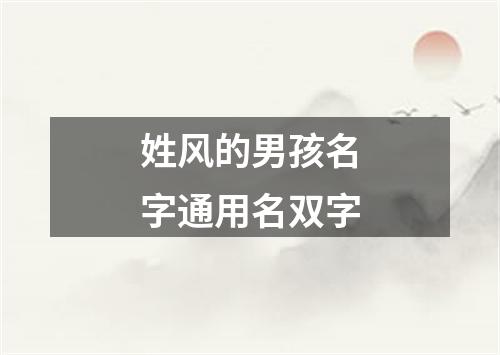 姓风的男孩名字通用名双字