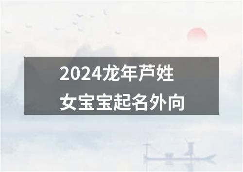 2024龙年芦姓女宝宝起名外向