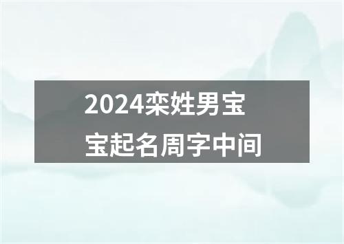 2024栾姓男宝宝起名周字中间