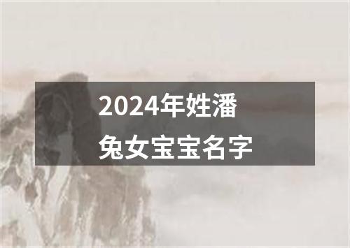 2024年姓潘兔女宝宝名字