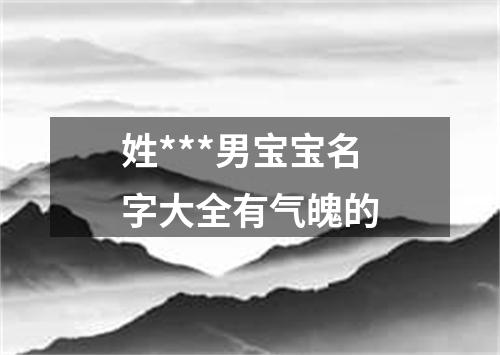 姓***男宝宝名字大全有气魄的