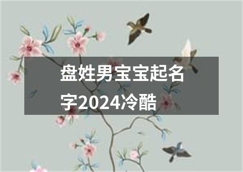 盘姓男宝宝起名字2024冷酷