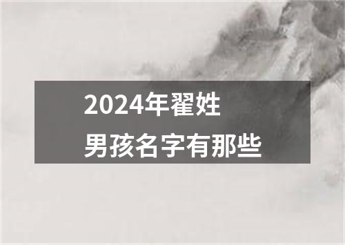 2024年翟姓男孩名字有那些