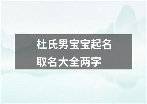 杜氏男宝宝起名取名大全两字