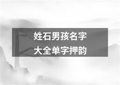 姓石男孩名字大全单字押韵