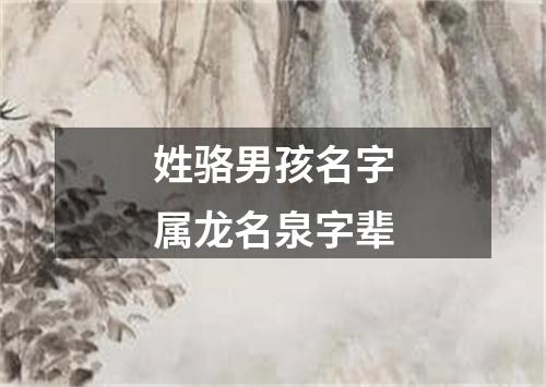 姓骆男孩名字属龙名泉字辈