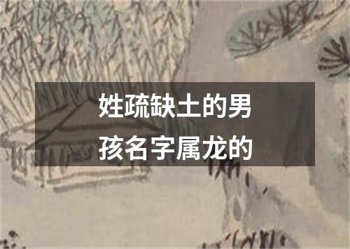 姓疏缺土的男孩名字属龙的