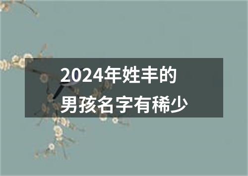 2024年姓丰的男孩名字有稀少