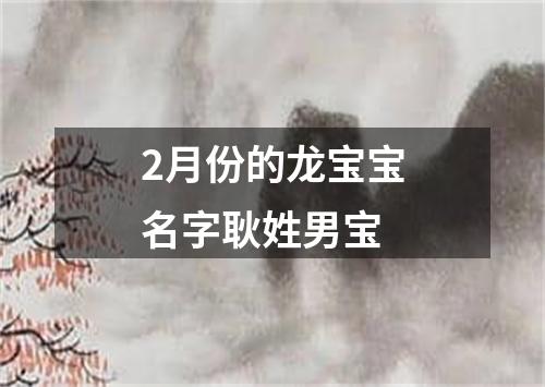 2月份的龙宝宝名字耿姓男宝