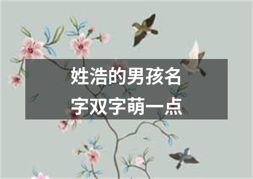 姓浩的男孩名字双字萌一点