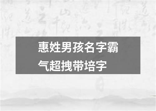 惠姓男孩名字霸气超拽带培字