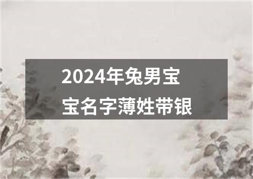 2024年兔男宝宝名字薄姓带银