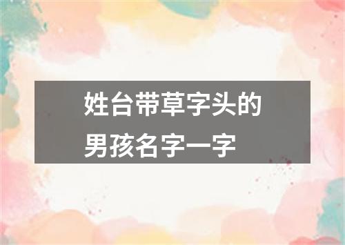 姓台带草字头的男孩名字一字