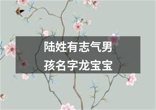 陆姓有志气男孩名字龙宝宝