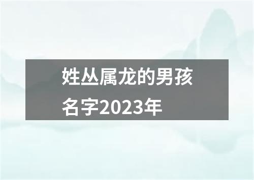 姓丛属龙的男孩名字2023年