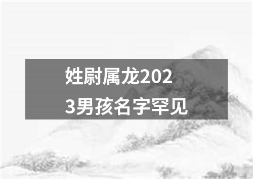 姓尉属龙2023男孩名字罕见