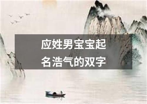 应姓男宝宝起名浩气的双字