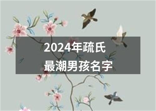 2024年疏氏最潮男孩名字