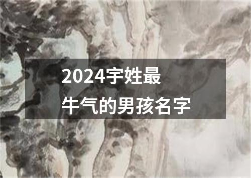 2024宇姓最牛气的男孩名字