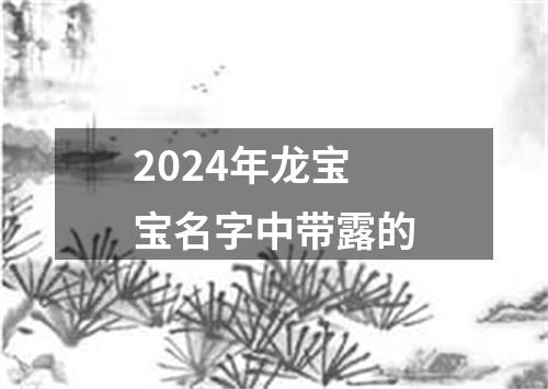 2024年龙宝宝名字中带露的