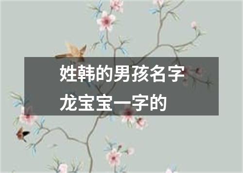 姓韩的男孩名字龙宝宝一字的