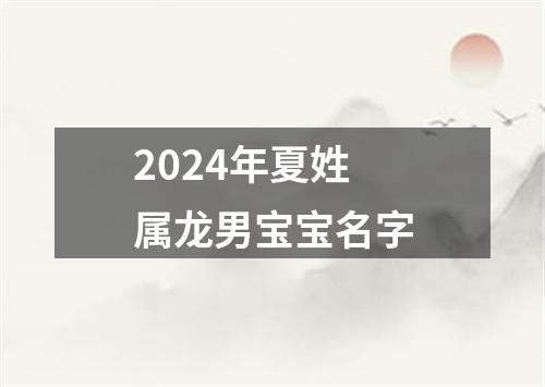 2024年夏姓属龙男宝宝名字