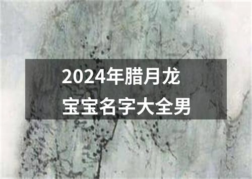 2024年腊月龙宝宝名字大全男