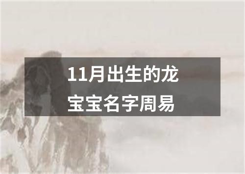 11月出生的龙宝宝名字周易