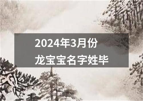 2024年3月份龙宝宝名字姓毕