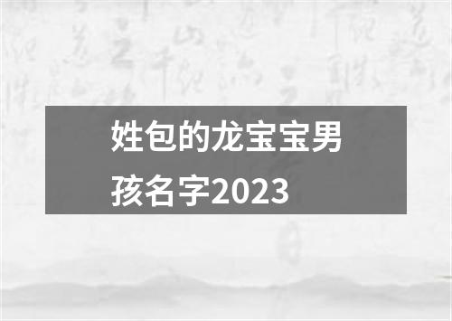 姓包的龙宝宝男孩名字2023