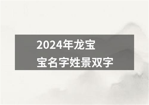 2024年龙宝宝名字姓景双字