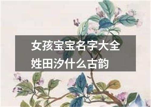 女孩宝宝名字大全姓田汐什么古韵