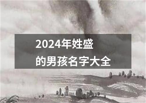 2024年姓盛的男孩名字大全