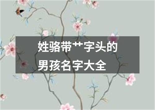 姓骆带艹字头的男孩名字大全