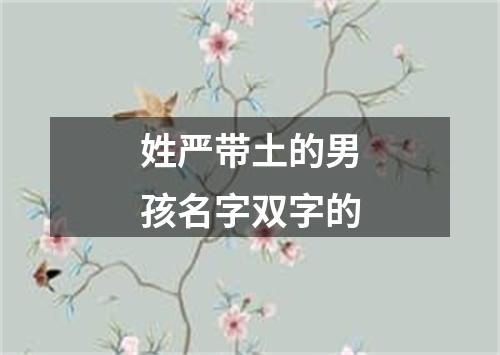 姓严带土的男孩名字双字的