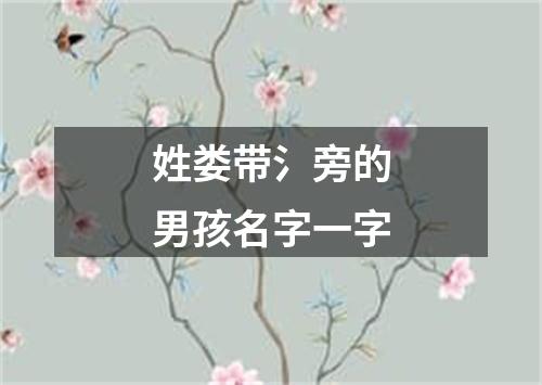 姓娄带氵旁的男孩名字一字