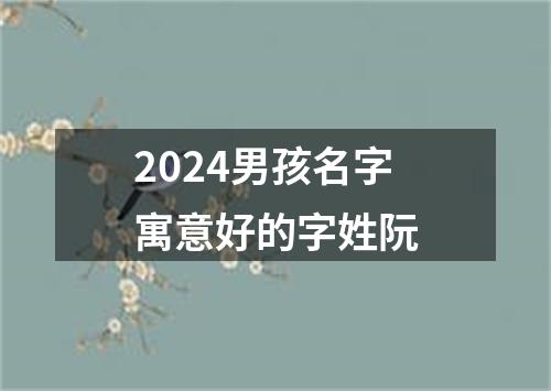 2024男孩名字寓意好的字姓阮