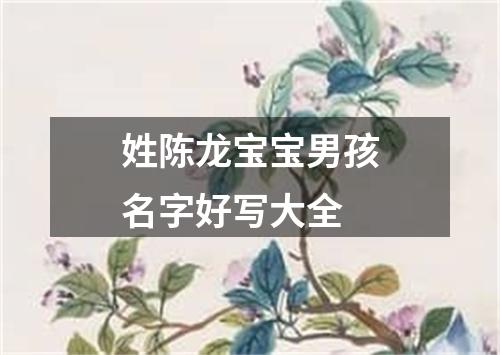 姓陈龙宝宝男孩名字好写大全