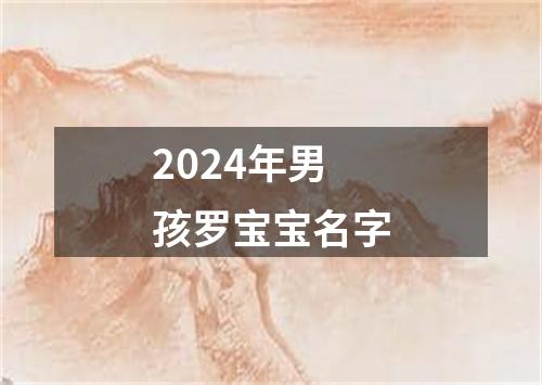 2024年男孩罗宝宝名字