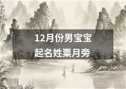 12月份男宝宝起名姓粟月旁