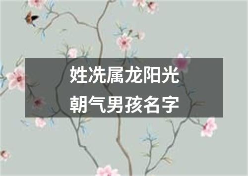 姓冼属龙阳光朝气男孩名字