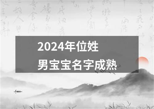 2024年位姓男宝宝名字成熟