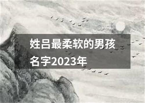 姓吕最柔软的男孩名字2023年