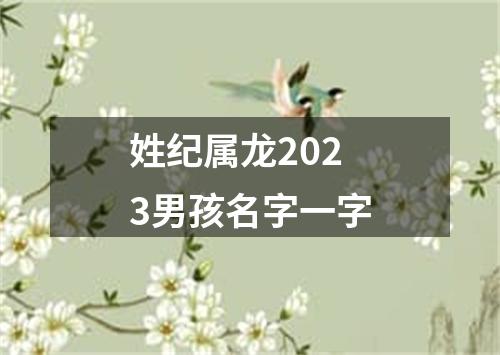 姓纪属龙2023男孩名字一字