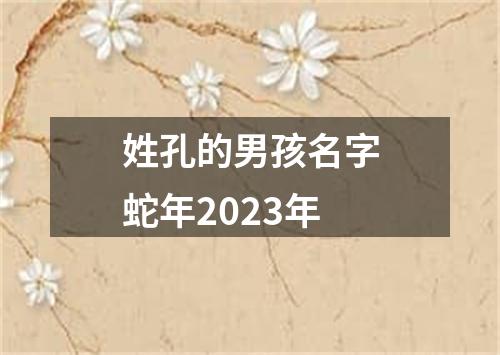 姓孔的男孩名字蛇年2023年