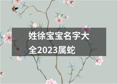 姓徐宝宝名字大全2023属蛇