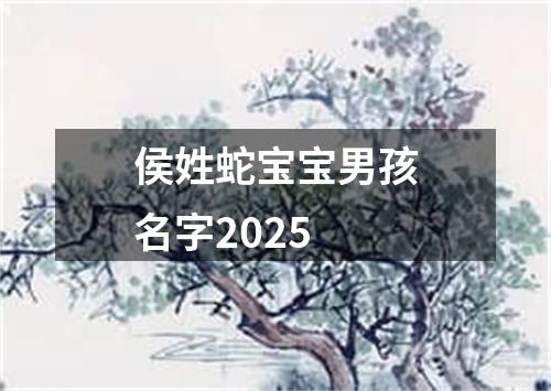 侯姓蛇宝宝男孩名字2025